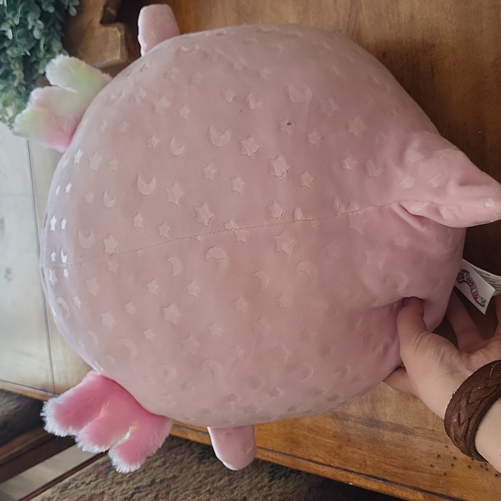 Axoytl squishallow - Picture 2 of 4